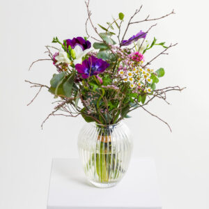 Erster Frühlingsmorgen