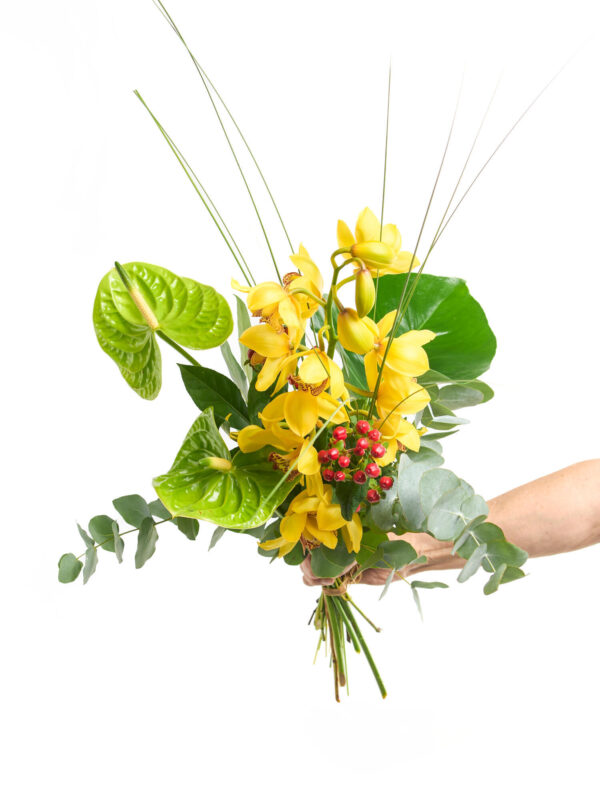 Magie der Orchideen – Bild 3