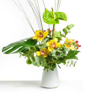 Magie der Orchideen