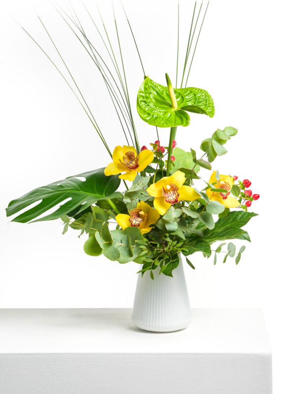 Magie der Orchideen