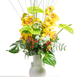 Magie der Orchideen