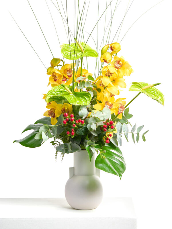 Magie der Orchideen