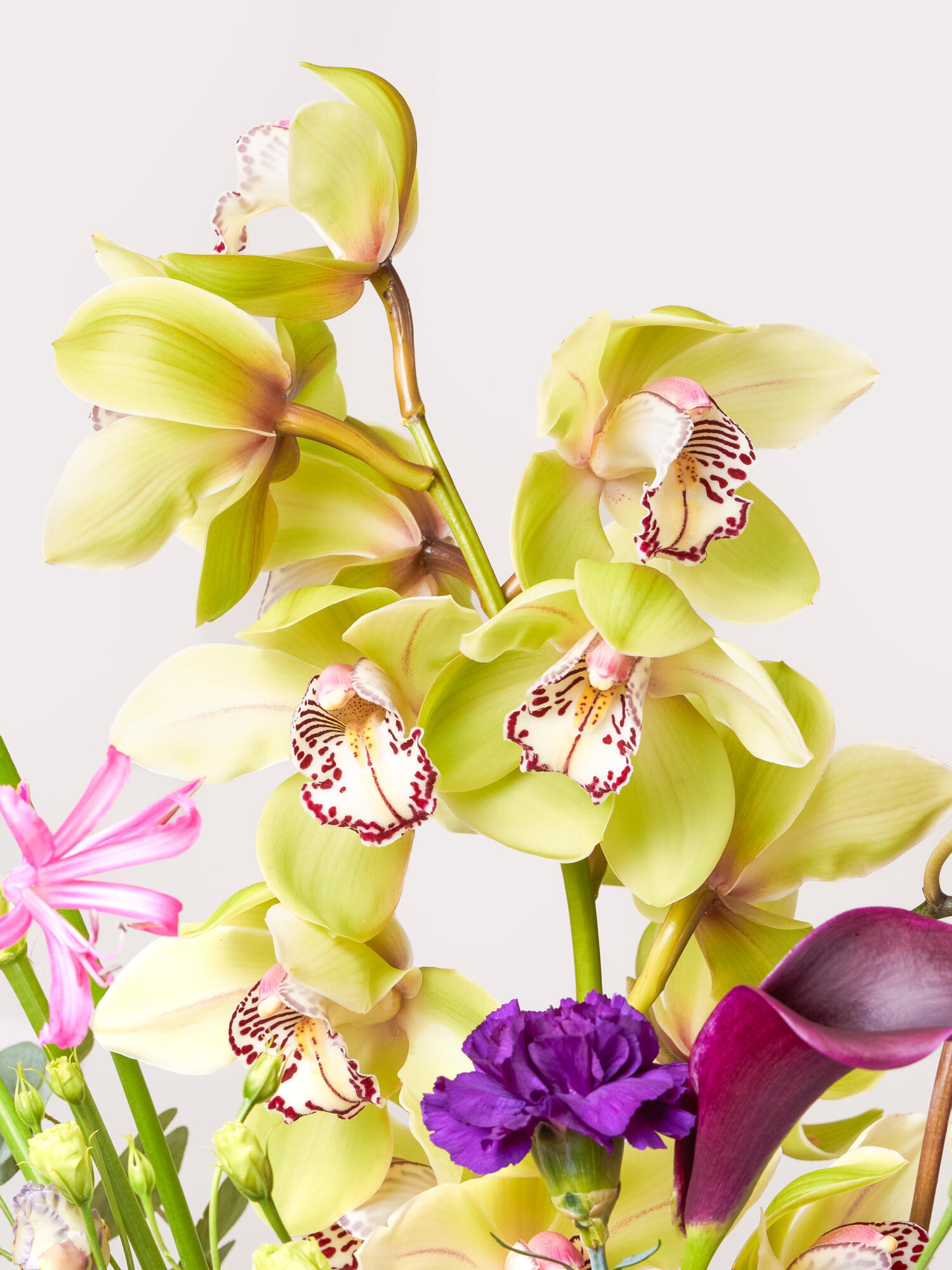 Savoir-Vivre – Bild 3