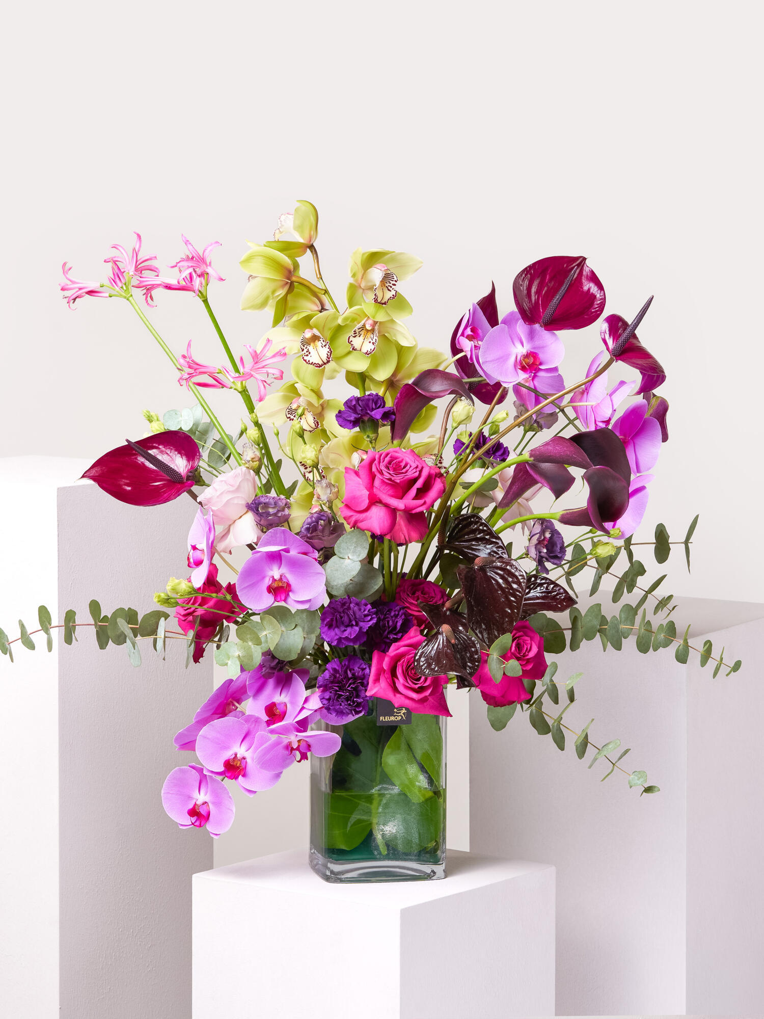 Savoir-Vivre – Bild 2