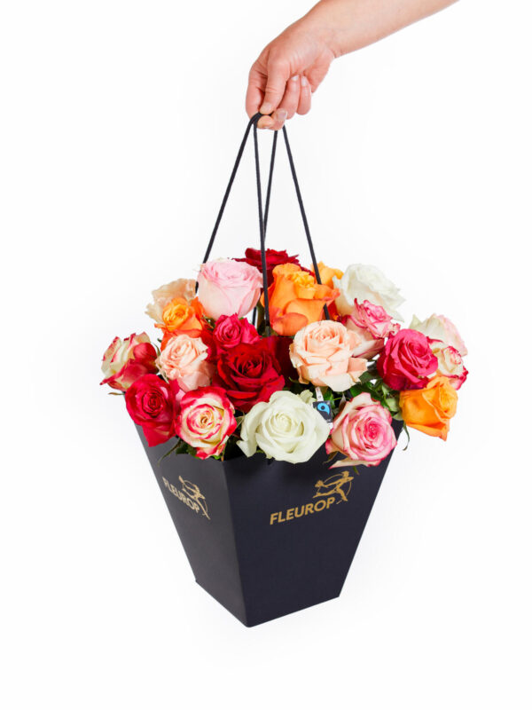 Rosenfreude – Bild 3
