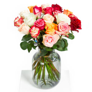Rosenfreude