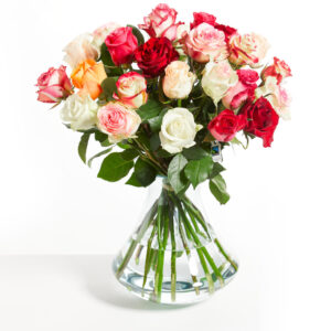 Rosenfreude