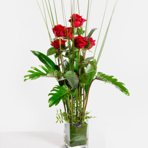 Rosenflammen