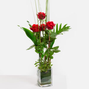 Rosenflammen