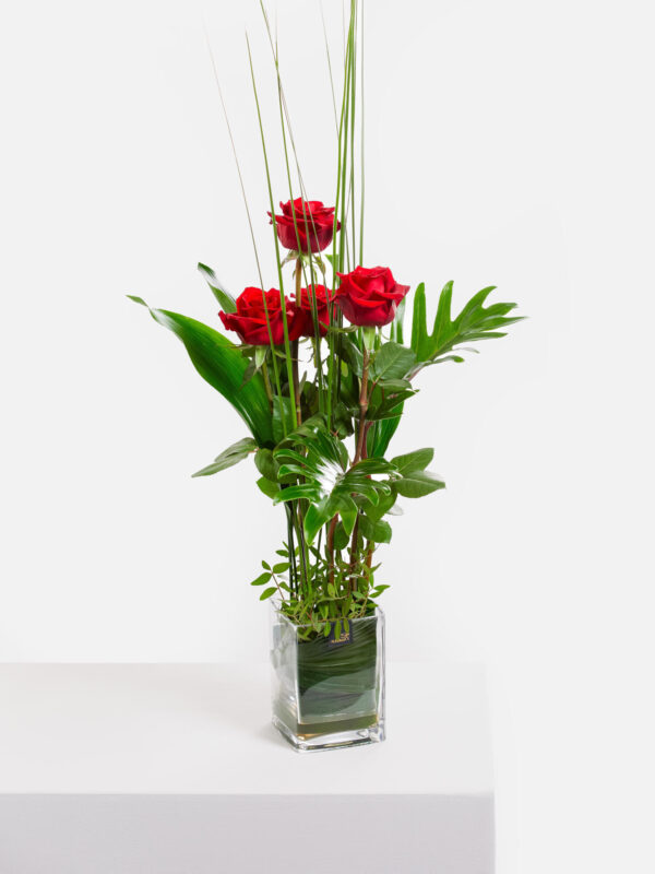 Rosenflammen