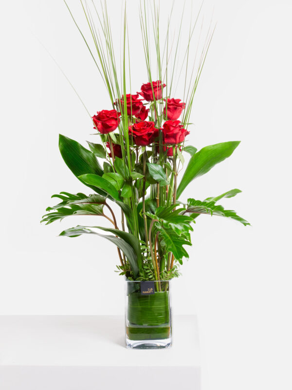 Rosenflammen