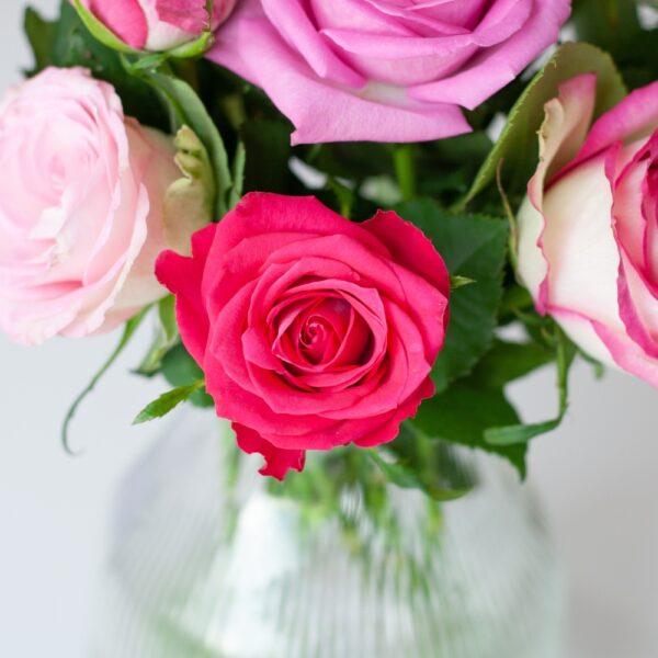 Rosenbox 12 Frische Rosen Rosa – Bild 2