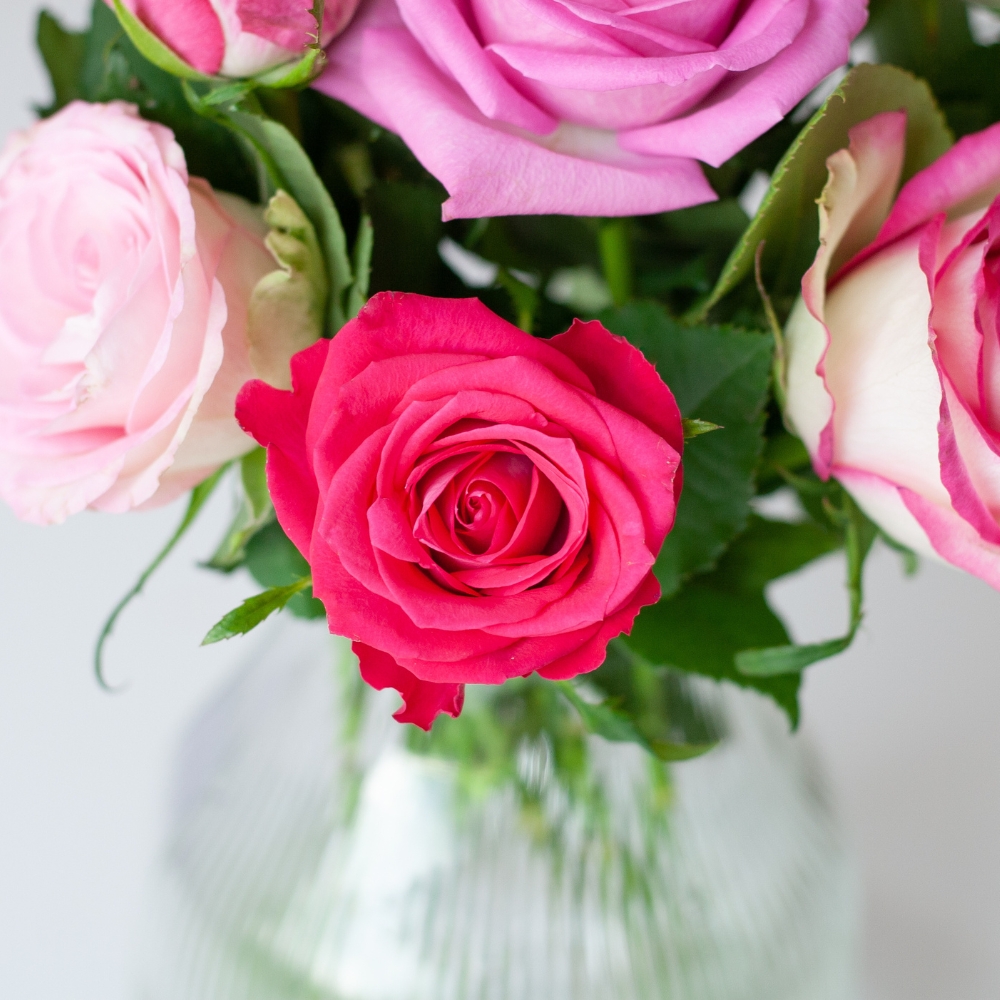Rosenbox 12 Frische Rosen Rosa – Bild 2