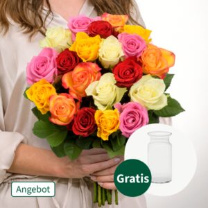 20er bunte Rosen im Bund