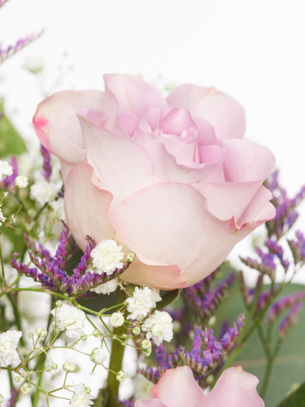 Blossom Dreams – Bild 3