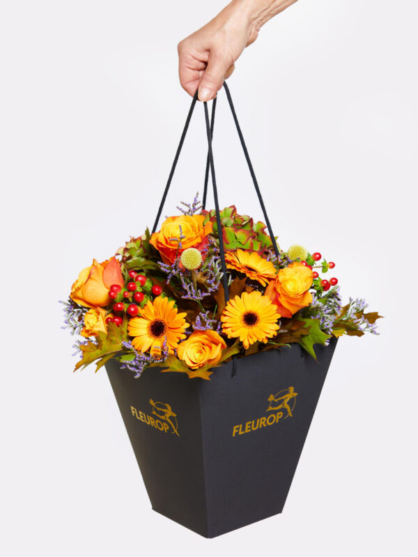 Indian Summer Vibes – Bild 4