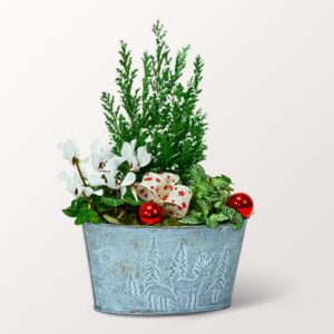 Hübsches Winter-Arrangement