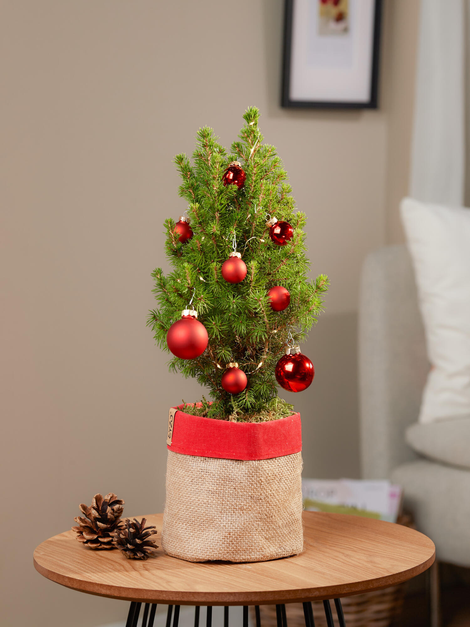 Zauberhafte Weihnachtsgrüße