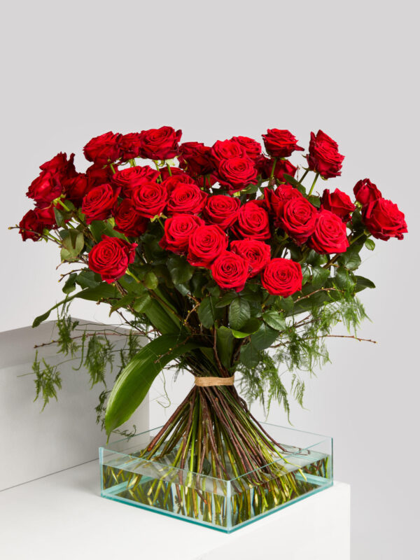 True Love – Bild 2