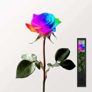 Bunte haltbare Rose mit Stiel