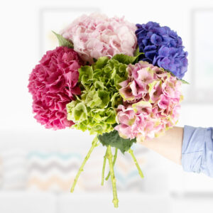 Gemischter Hortensienstrauß – 5 bunte Hortensien