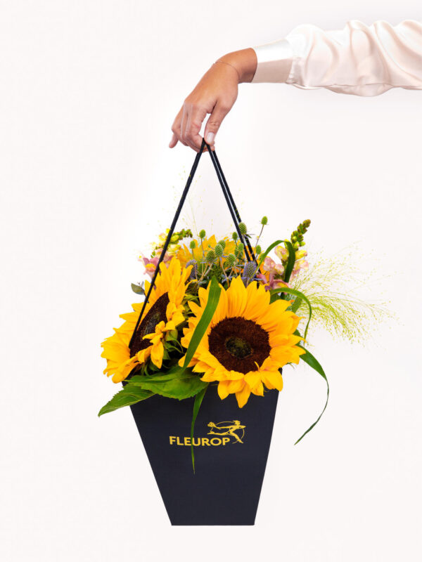 Fröhliche Sommergrüße – Bild 3