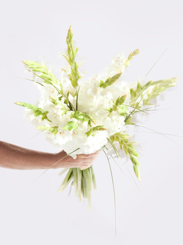 White Summer – Bild 2