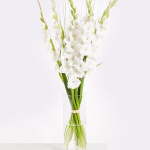 White Summer