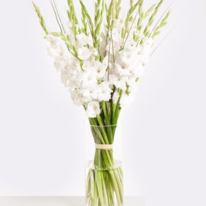 White Summer