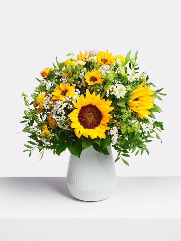Sunflower Power