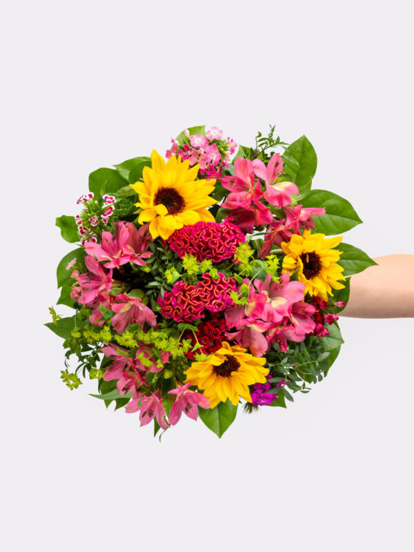 Heimatliebe – Bild 2