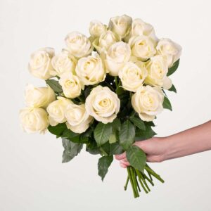 Weiße Rosen - 20 Stiele