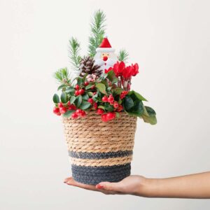 Dear Santa
