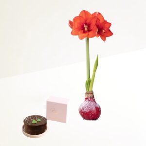 Winterbote mit winterlicher Sachertorte