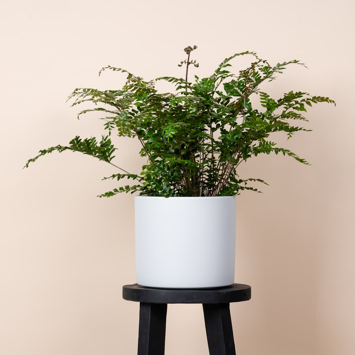 Keramik Übertopf Weiß - 21 cm