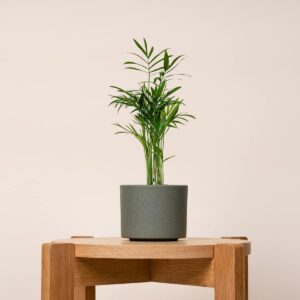 Keramik Übertopf Grün - 10,5 cm