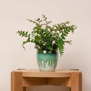 Keramik Übertopf Orchidee Grün - 9 cm