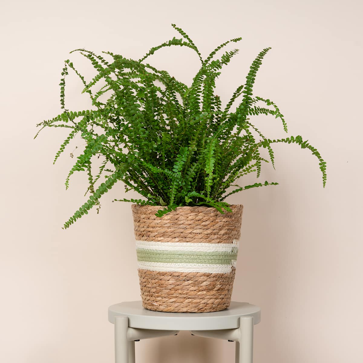 Korb Streifen Natur Grün - 20 cm