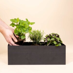 Metall Plantbox Schwarz