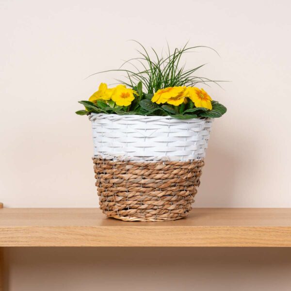 Seegras Pflanzenkorb Weiß/Natur - 23 cm
