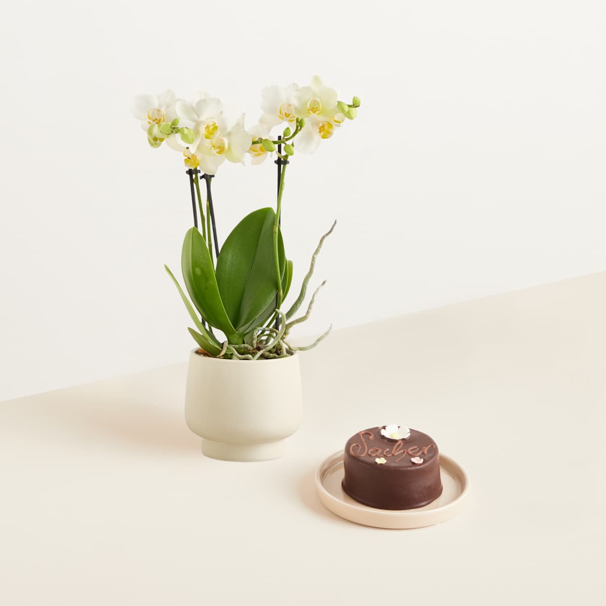 Traumhaft mit Blumen-Sachertorte 200g