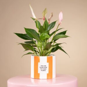 Keramik Übertopf Orange - 10,5 cm