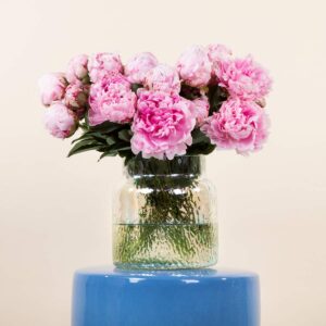 BLUME2000 Lieblings-Vase M Rainbow Edition