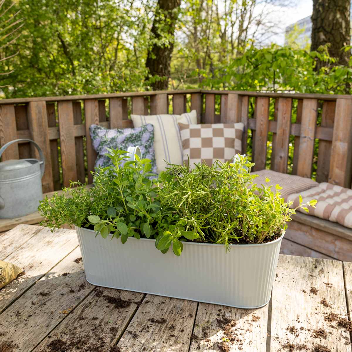 DIY Balkonkasten Kräutergarten