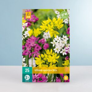 Allium Mix - 25 Zwiebeln