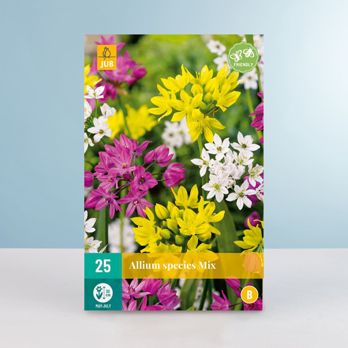 Allium Mix - 25 Zwiebeln