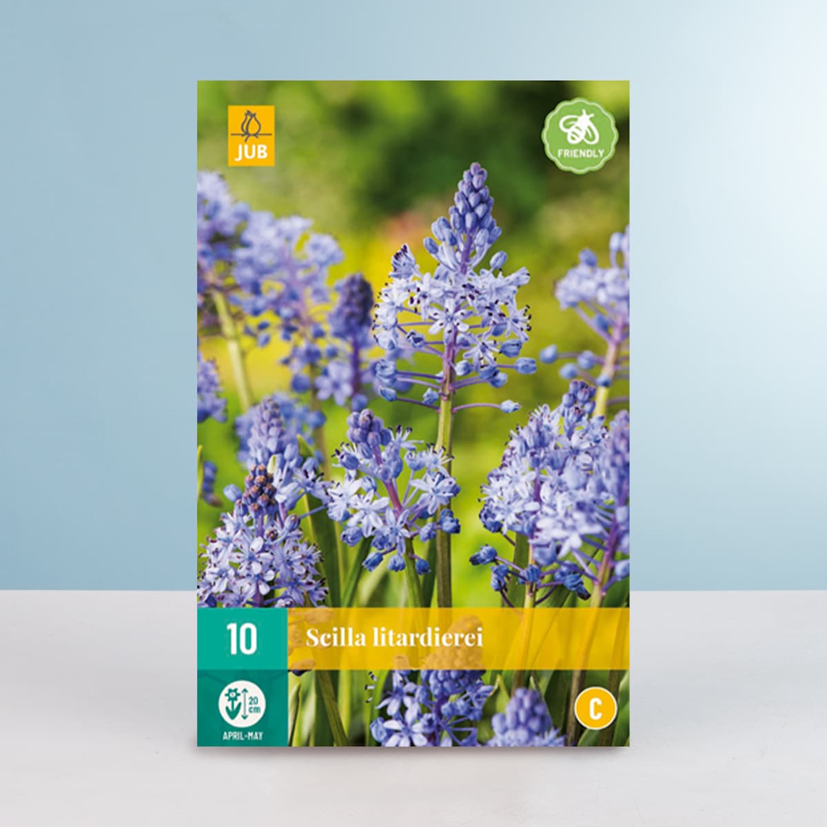 Amethyst-Blaustern - 10 Zwiebeln