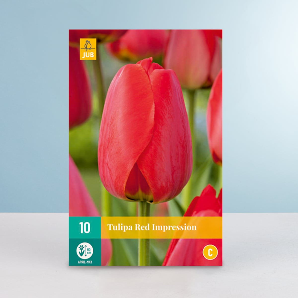 Darwin-Hybrid-Tulpe 'Red Impression' - 10 Zwiebeln