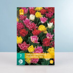 Einfache frühe Tulpen  'Double Early' Mix - 7 Zwiebeln