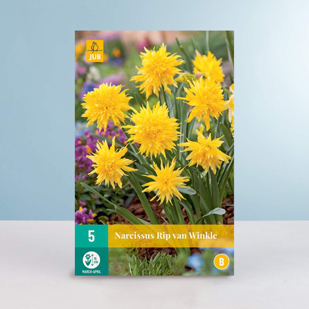 Gefüllte Narzisse 'Rip van Winkle' - 5 Zwiebeln